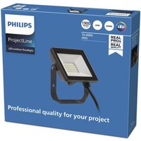 Philips ProjectLine Projecteur d'extérieur LED 4.000K 20W