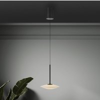 Paul Neuhaus LED-hänglampa Elipsa, 1 lampa, vit/svart