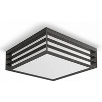 Philips myGarden Moonshine ceiling light