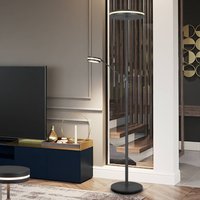 Trio Lighting Lampadaire à éclairage indirect LED Franklin, lampe de lecture, anthracite