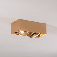 Argon Spot pour plafond Riesta, doré, à 2 lampes