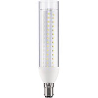 Paulmann ampoule LED B15d 9,5 W tube 4 000 K