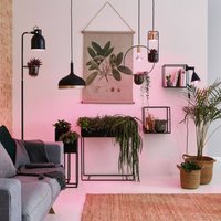 Paulmann LED grow light bulb E14 R50 4W