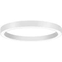 BRUMBERG Biro Circle Ring, Ø 45 cm, DALI, weiß, 3.000 K