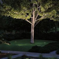 Paulmann Plug & Shine LED ground spike light Radon