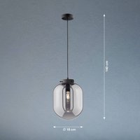 FISCHER & HONSEL Pendellampa Regi, 1 lampa, Ø 18 cm
