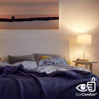 Lámpara LED para frigorífico Philips E14