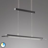 FISCHER & HONSEL LED hanging light Tenso TW dimmer, black 88cm