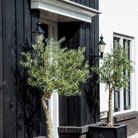 K.S. Verlichting Applique d'extérieur nostalgique Edam M, vert/cuivre