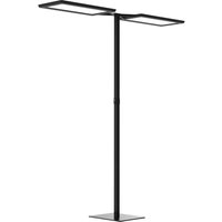 Waldmann Yara.double LED floor lamp CCT, BT, PIR, black