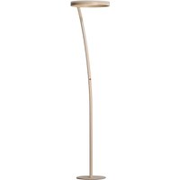 FISCHER & HONSEL LED-golvlampa Sirko, sandfärgad, höjd 177 cm, metall, CCT