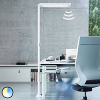 Waldmann Lavigo floor lamp DPS 14000/VTL/R/G2 3000-6500K