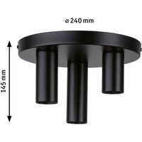 Paulmann Skogen ceiling light black 3-bulb