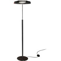 Oluce LED-Stehleuchte Dora, nickel/rauchgrau, Metall, PMMA