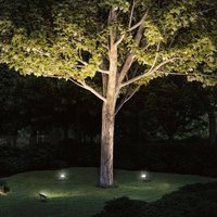 Paulmann Plug & Shine Projecteur avec pique 16W