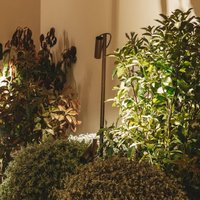 LEDS-C4 LED spot sur piquet Juncus 1, brun, 2.700 K