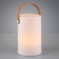 Reality Leuchten Aruba RGB battery-powered outdoor decorative light