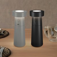 Lucande LED salt and pepper shakers Salt & Pepper, set of 2