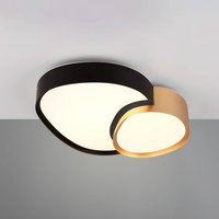 Trio Lighting Plafonnier LED Rise, noir-doré, 43 x 36 cm, CCT, intensité variable