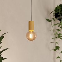 EGLO Suspension Pozueta 1, à 1 lampe, noire/marron