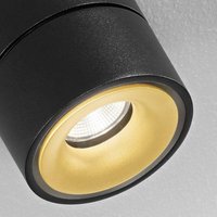 Egger Licht EGG DLS LED downlight Clippo S Duo, black-gold