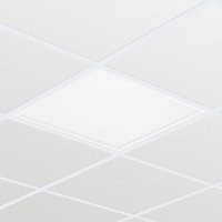 Philips Professional LED panel RC133V G4 LED43S/840 PSD W62L62 OC