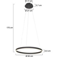 Steinhauer Suspension LED Ringlux, Ø 60 cm, à 2 lampes, noire