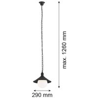 Argon Utomhushänglampa Enduro, svart, stål, glas, IP44, E27