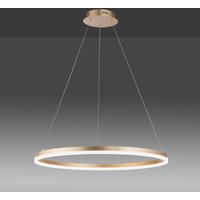 Paul Neuhaus Suspension LED Titus, Ø 80 cm, laiton, intensité variable