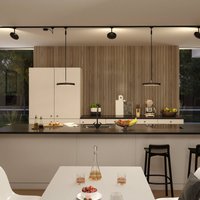 Paulmann URail Hildor LED pendant black 4,000 K