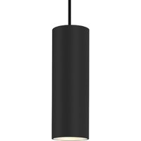 Wever & Ducré Lighting WEVER & DUCRÉ Ray 2.0 PAR16 hanging light black