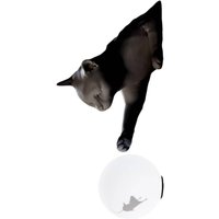 Karman Applique murale Maoo, céramique noire, verre, figurine de chat