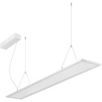 BRUMBERG Adara LED pendant light, 149.5 cm, DALI, 2CCT, microprism