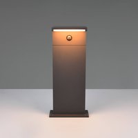 Trio Lighting Ravi LED pedestal light, anthracite, height 50 cm, sensor, IP54