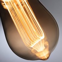 Paulmann LED bulb E27 3.5 W Arc 1,800K ST64 gold