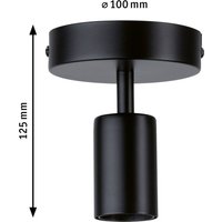 Paulmann Malja taklampa i svart