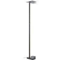 Brilliant Mora LED floor lamp, anthracite, height 178 cm, metal
