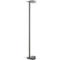 Brilliant LED-golvlampa Mora, antracit, höjd 178 cm, metall