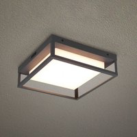 Trio Lighting LED outdoor ceiling light Witham IP54, CCT, anthracite