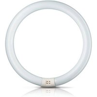 Philips G10q 22W 840 lysrörsring Master Circular TL-E