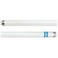 Philips G13 T8 fluorescent bulb with shatter protection