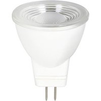 Bioledex Reflector LED bulb HELSO GU4 MR11, 4W, 830, 60°