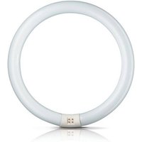 Philips Tube fluo rond G10q 40W 830 Master Circular TL-E