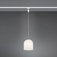 Trio Lighting DUOline Ontario pendant light, two-circuit track, E14, glass