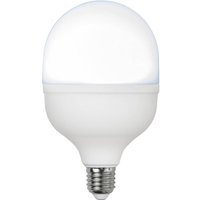 STAR TRADING LED bulb E27, 30 W, opal, 6,500 K, 4,000 lumens, round