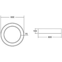 BRUMBERG Biro Circle Ring, Ø 60 cm, Casambi, white, 830