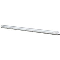 PRIOS moisture-proof light Lior, 157 cm, 1 x T8, G13, IP65, 18W