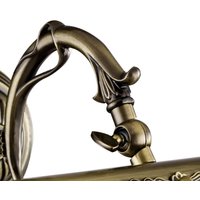 Maytoni Picasso applique, pour tableau en bronze