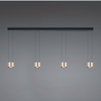 BANKAMP Impulse Flex LED-hänglampa 4 lampor ros