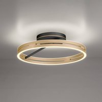 PURE LED ceiling lamp Loop brass/black metal Ø 60 cm CCT